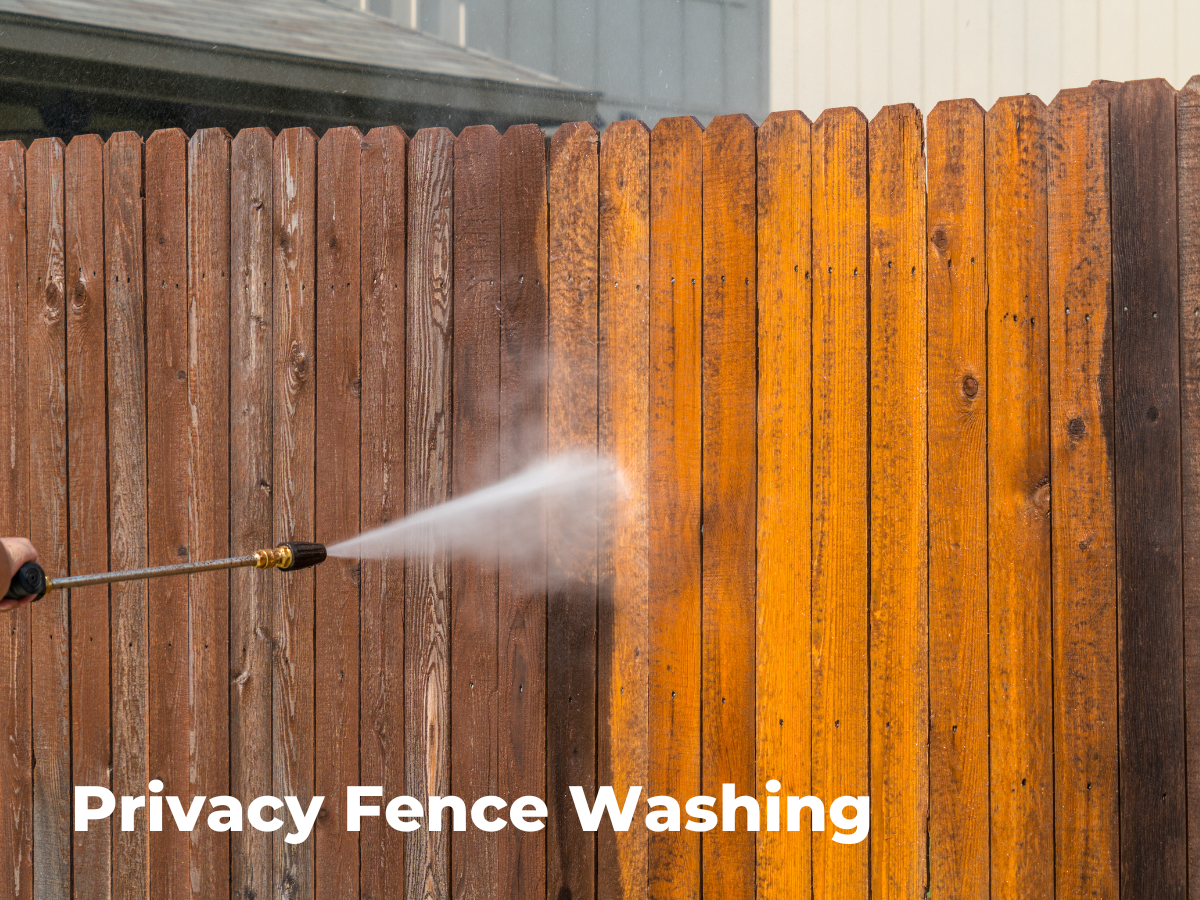 power washing privacy fence